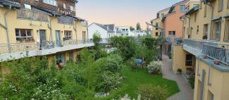 Amaryllis eG Amaryllis eG